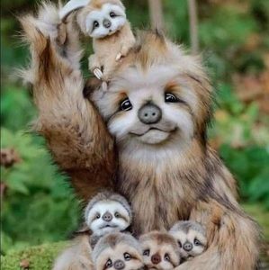 Meet your Posher, Norma